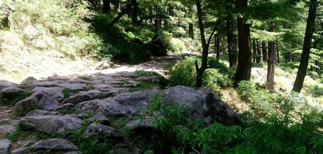 kangra_1