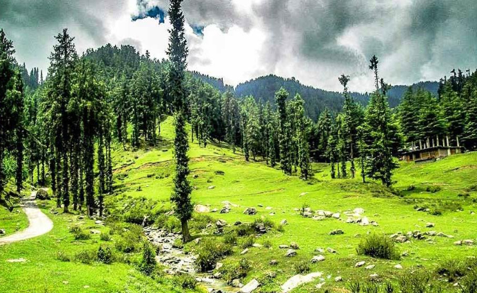 mandi_2